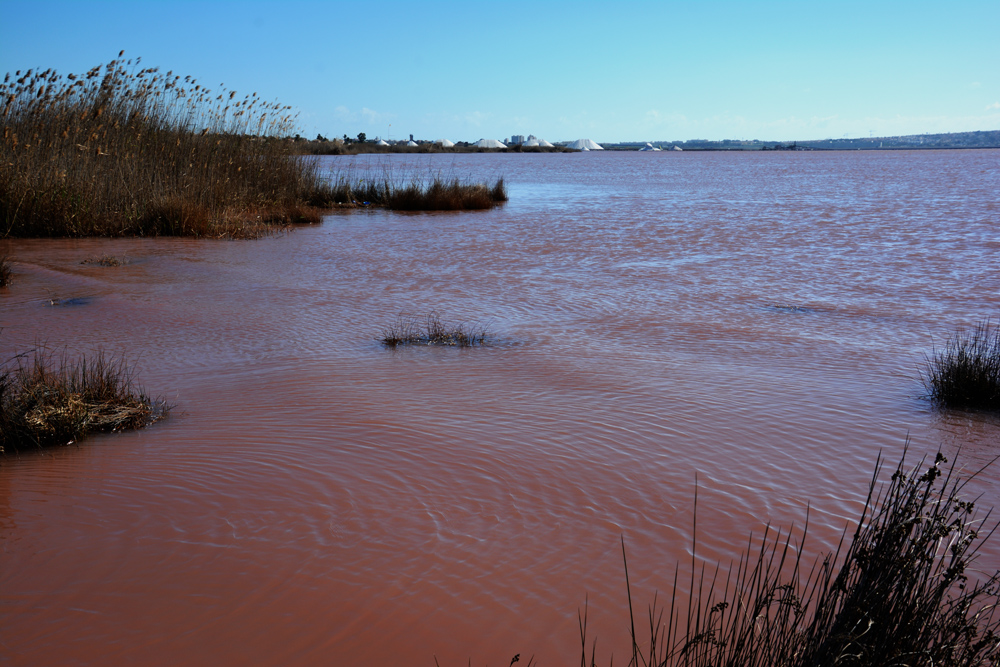A.DSC_7388.jpg