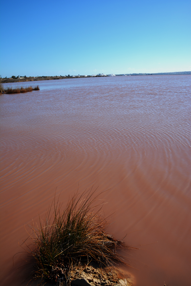A.DSC_7389.jpg