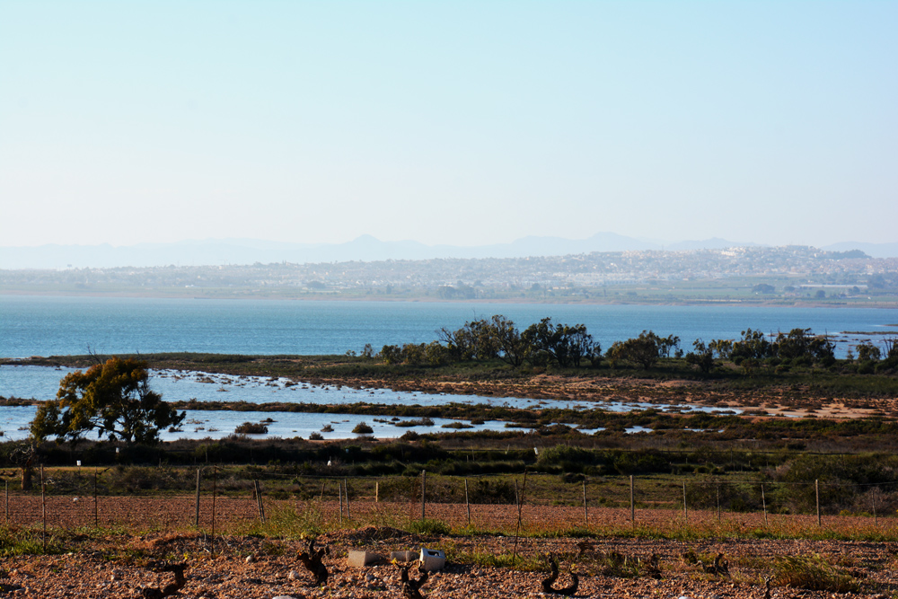 A.DSC_7400.jpg