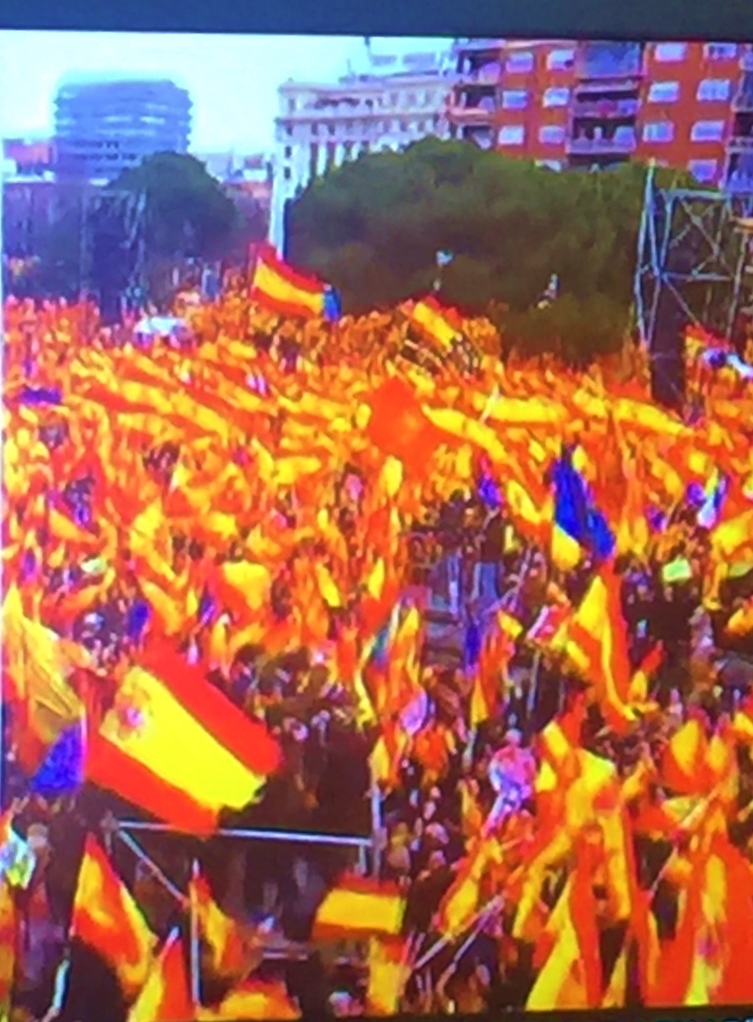 Demo högerpartier.jpg