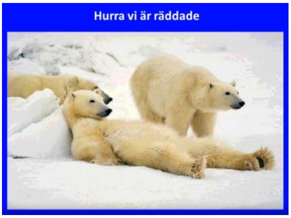 Skärmavbild 2017-05-07 kl. 17.31.26.jpg