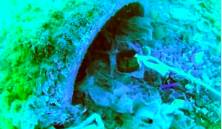 Skärmavbild 2019-03-22 kl. 14.10.06.png