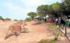 parque-arqueologico Guardamar.jpg