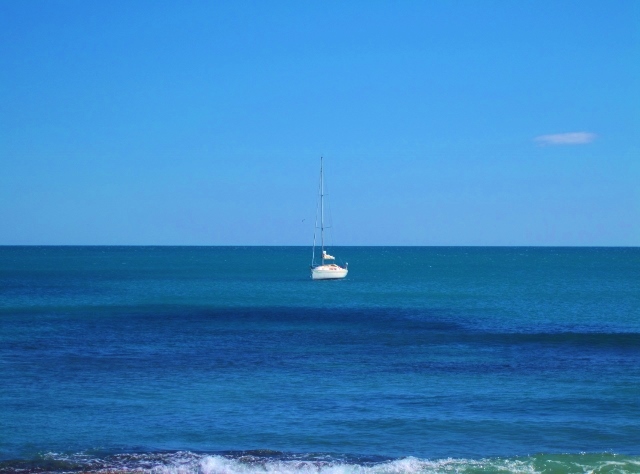 IMG_4985 (640x474) (2)