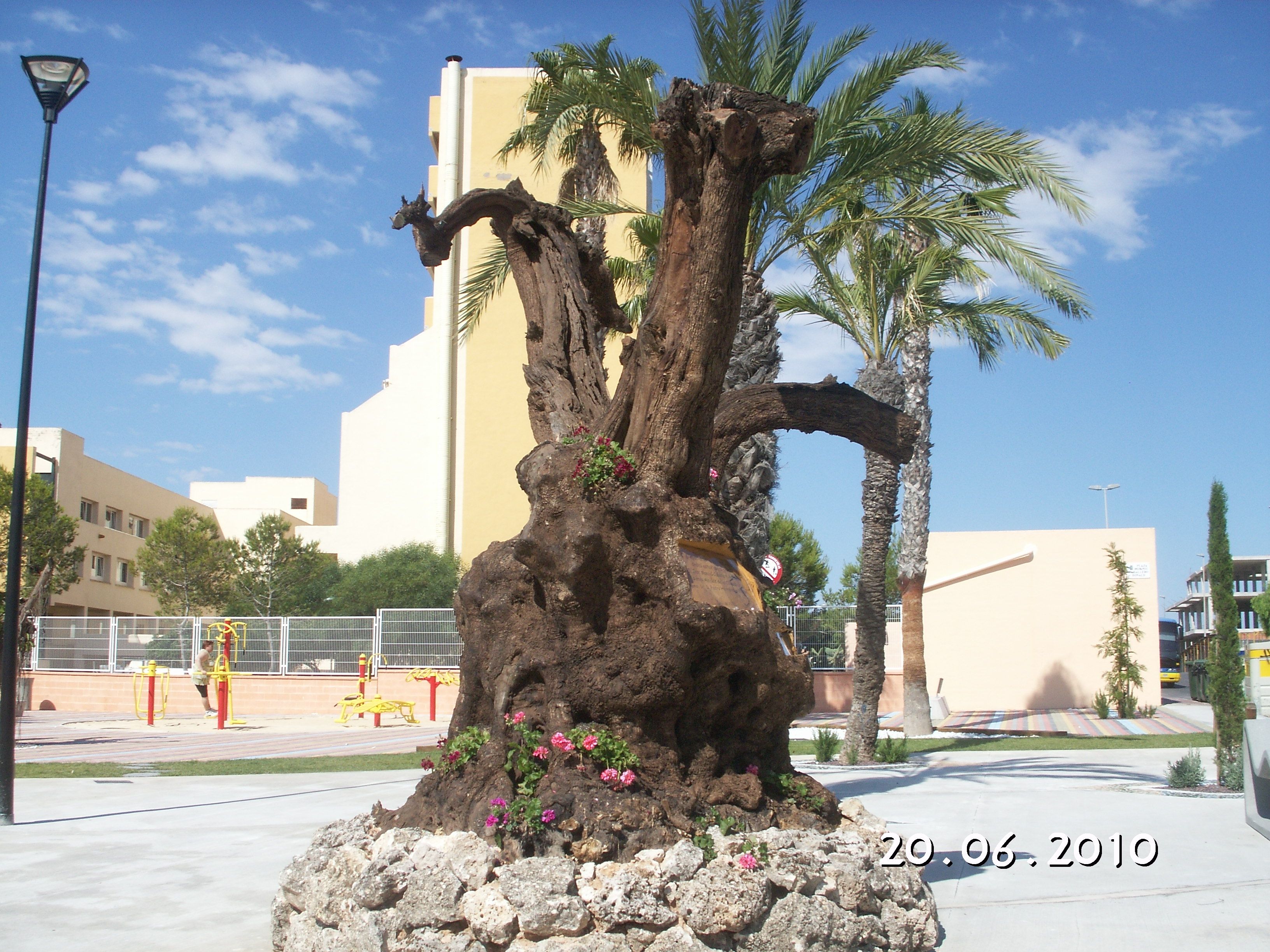 Torrevieja